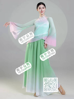 绿粉飘逸古典舞裤装